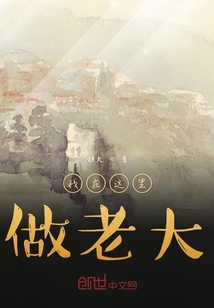 我在這里做老大