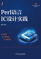 Perl语言IC设计实践