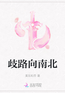 歧路向南北