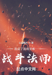 我成了游戲里唯一戰(zhàn)斗法師