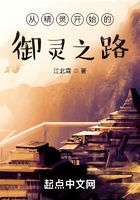 從精靈開始的御靈之路在線閱讀