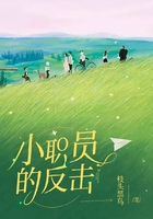 小職員的反擊在線閱讀