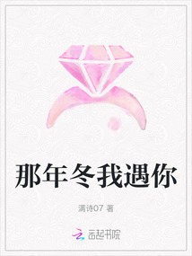 那年冬我遇你