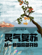 灵气复苏：从一株番茄苗开始