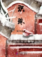 识珠在线阅读