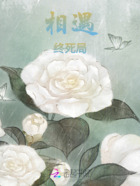 相遇终死局在线阅读