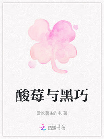 酸莓與黑巧