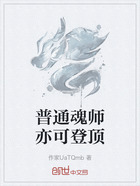 普通魂师亦可登顶在线阅读