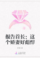 报告BOSS:这个娇妻好彪悍在线阅读