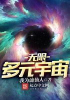 无限多元宇宙