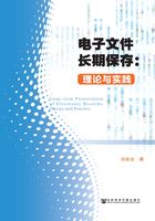 电子文件长期保存：理论与实践