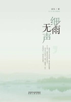 细雨无声在线阅读