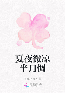夏夜微涼半月惆