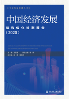 中国经济发展结构优化检测报告(2020)在线阅读