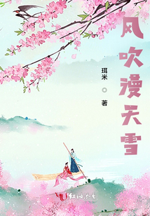 風(fēng)吹漫天雪