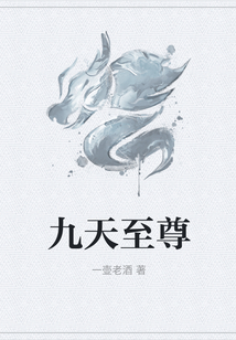 九天至尊 cover