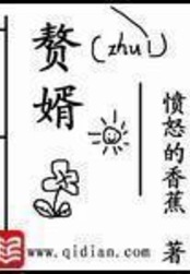 赘婿（宁毅、苏檀儿）在线阅读