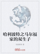 哈利波特之马尔福家的双生子在线阅读