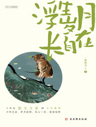 浮生岁月长自在在线阅读