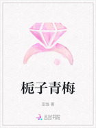 梔子青梅在線閱讀