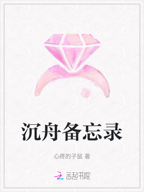 沉舟备忘录在线阅读