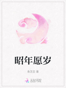昭年愿歲