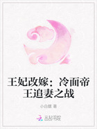 王妃改嫁:冷面帝王追妻之战在线阅读