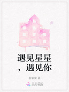 遇见星星，遇见你在线阅读