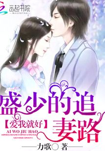 盛少的追妻路：爱我就好