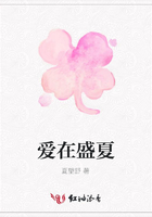 愛在盛夏在線閱讀