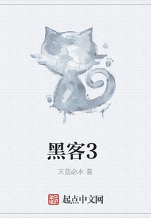 黑客3