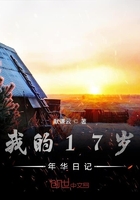 我的17歲年華日記在線閱讀