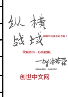 纵横战域在线阅读