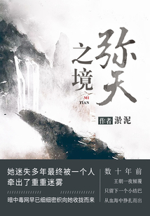 弥天之境