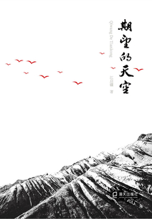 期望的天空