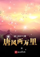 唐风两万里在线阅读