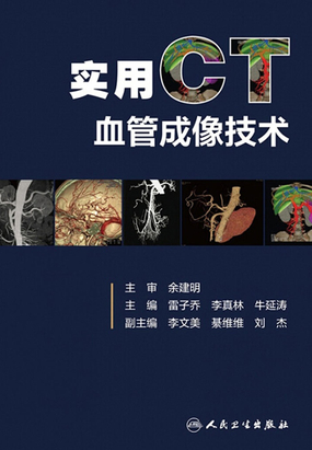 实用CT血管成像技术在线阅读