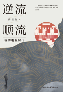 逆流 順流:我的電視時代