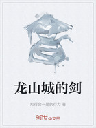 龙山城的剑在线阅读