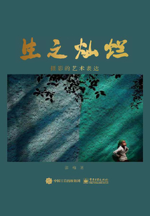 生之燦爛：攝影的藝術(shù)表達(dá)