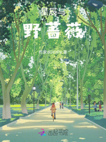 星辰與野薔薇