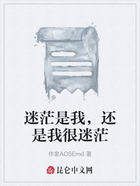 迷茫是我，还是我很迷茫在线阅读
