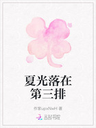 夏光落在第三排在線閱讀