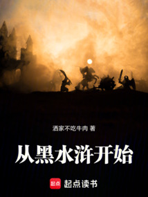 从黑水浒开始（王禹）在线阅读