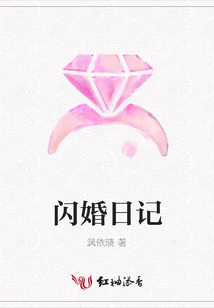 閃婚日記