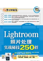 Lightroom照片处理实战秘技250招