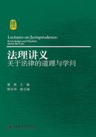 法理讲义：关于法律的道理与学问(套装上下册)在线阅读