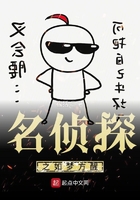 名侦探之如梦方醒在线阅读