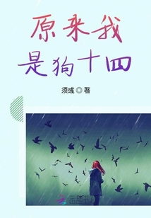 原来我是狗十四