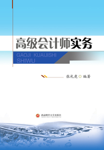 高级会计师实务